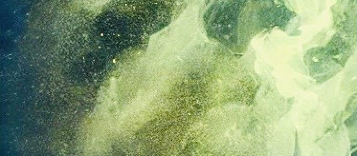 3065A3C0-AF43-4CD5-BC98-84993B45CD3E