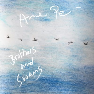 Brothers and Swans2
